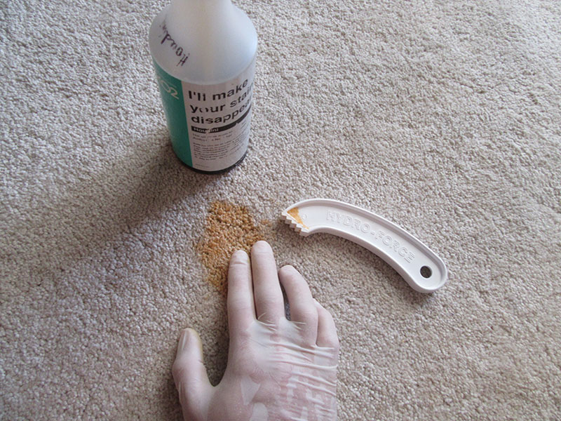 Stain Removal & Deodorisation